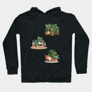 House plants in pots Hoodie